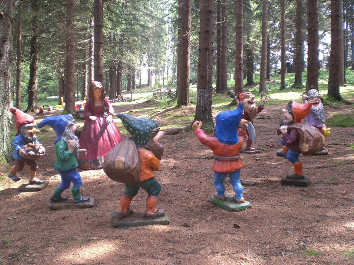 Haidmühle Bauernhofpension Runenhof מראה חיצוני תמונה